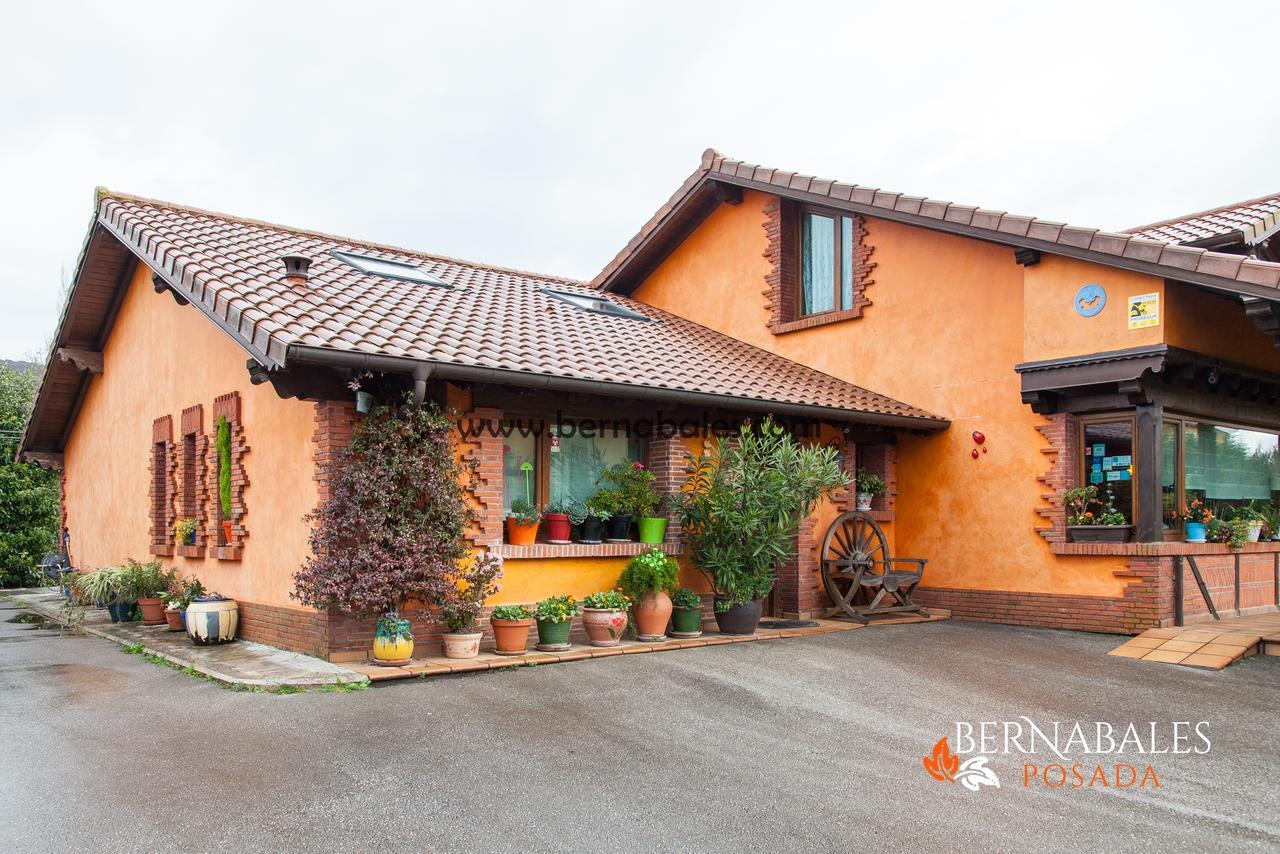 Alojamiento Bernabales Pámanes Exterior foto